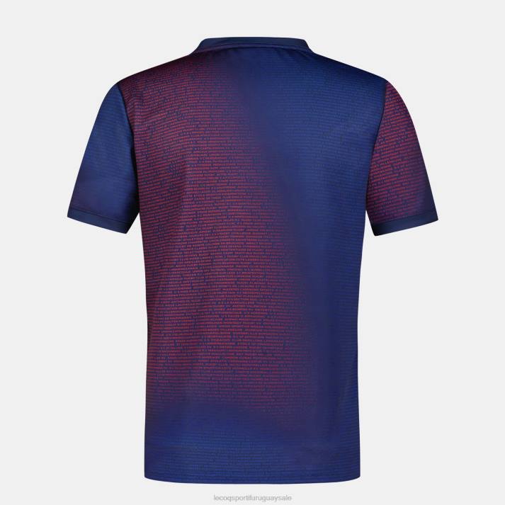 ropa XFVP173 hombres Le Coq Sportif camiseta prepartido - xv de france azul