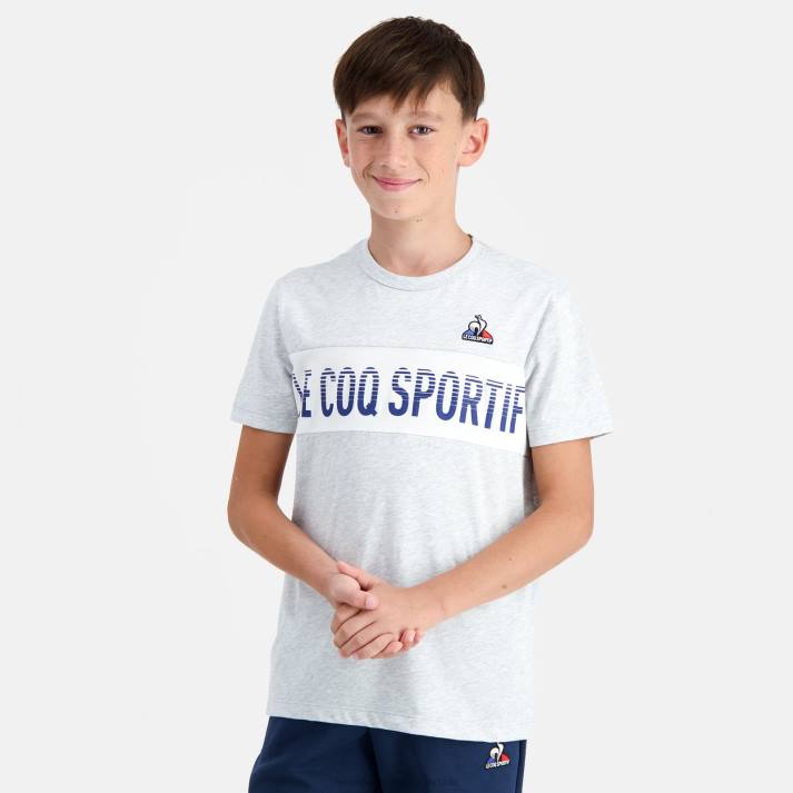 ropa XFVP640 niños Le Coq Sportif camiseta gris