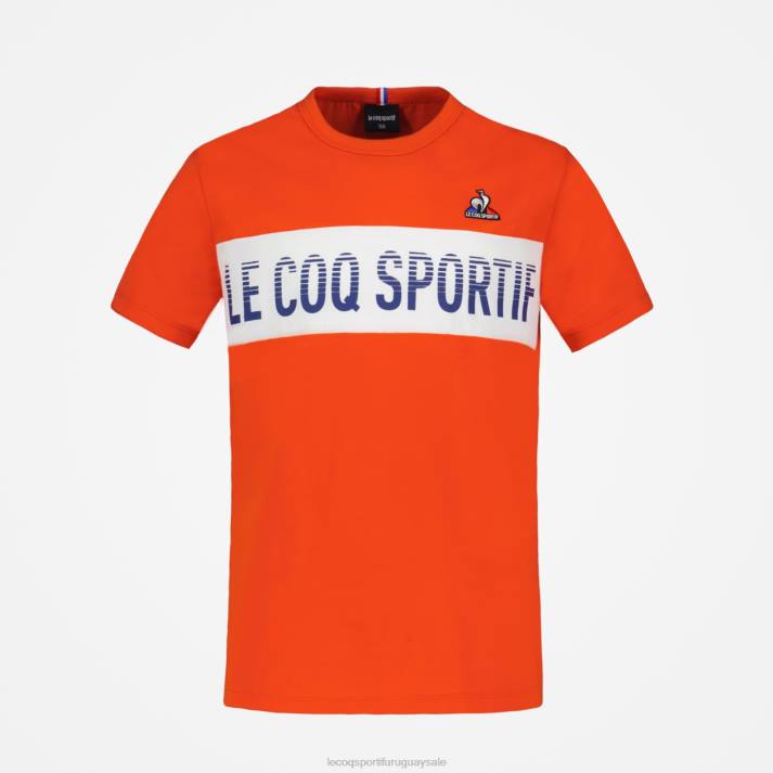 ropa XFVP645 niños Le Coq Sportif camiseta multicolor