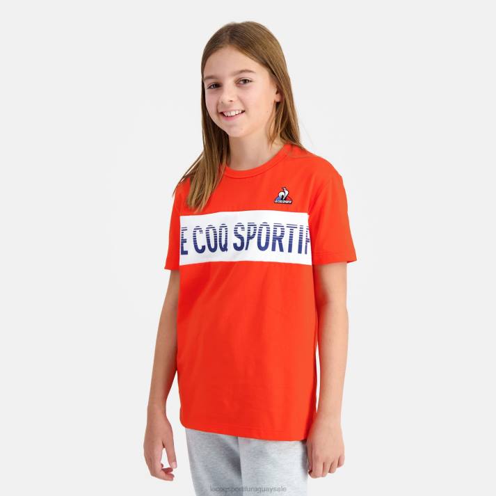 ropa XFVP645 niños Le Coq Sportif camiseta multicolor