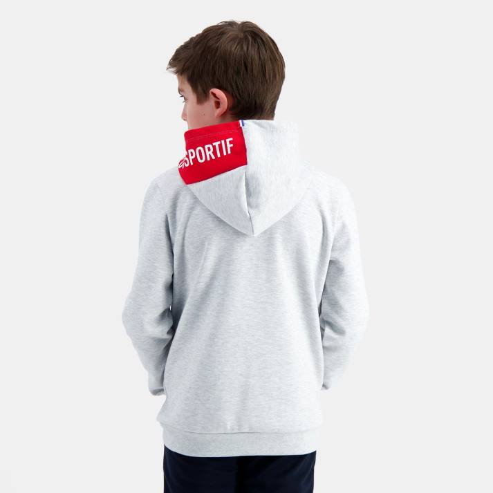 ropa XFVP393 niños Le Coq Sportif sudadera con capucha gris