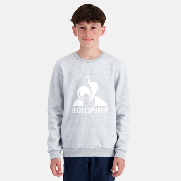 ropa XFVP397 niños Le Coq Sportif sudadera gris