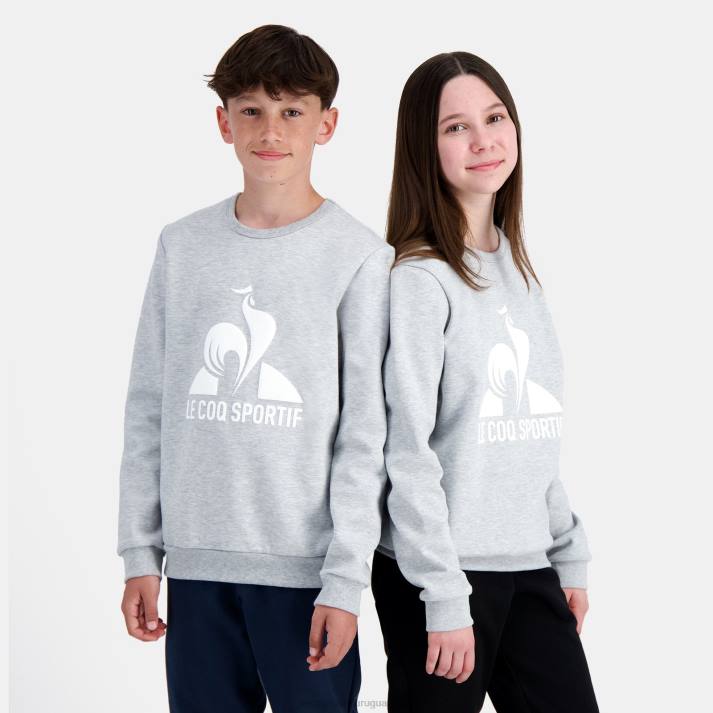 ropa XFVP397 niños Le Coq Sportif sudadera gris