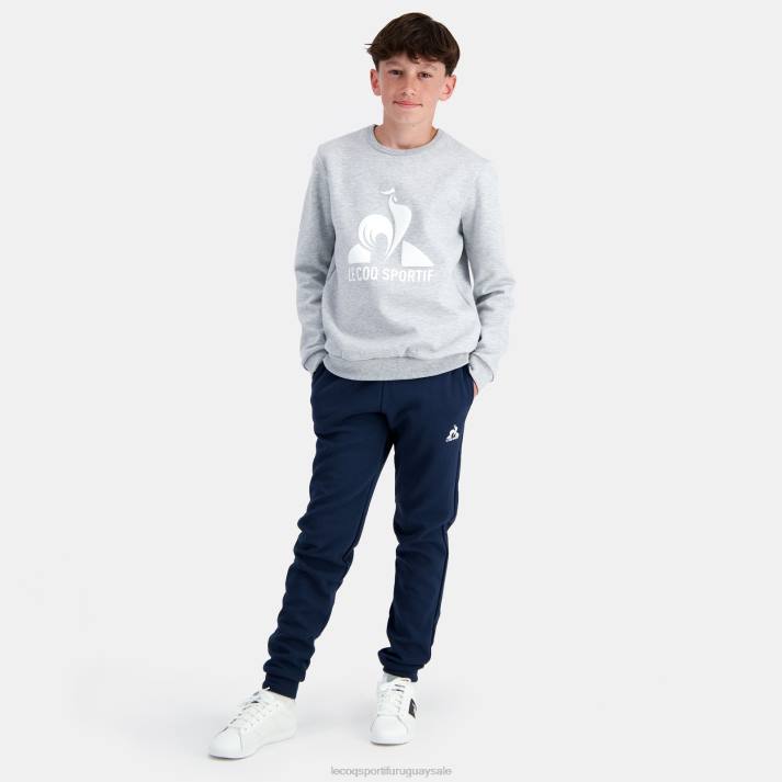 ropa XFVP397 niños Le Coq Sportif sudadera gris