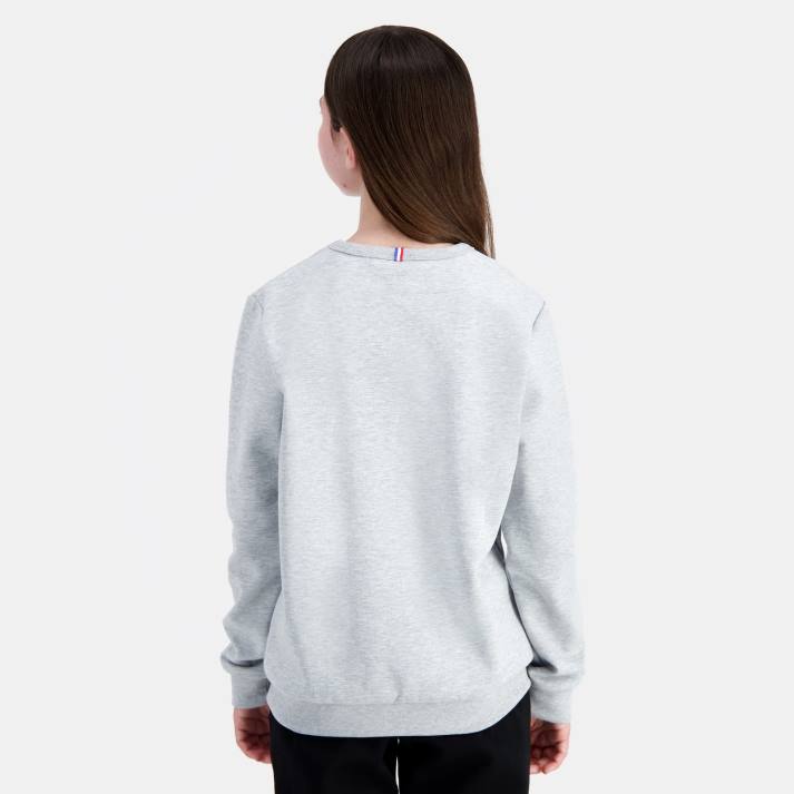 ropa XFVP397 niños Le Coq Sportif sudadera gris