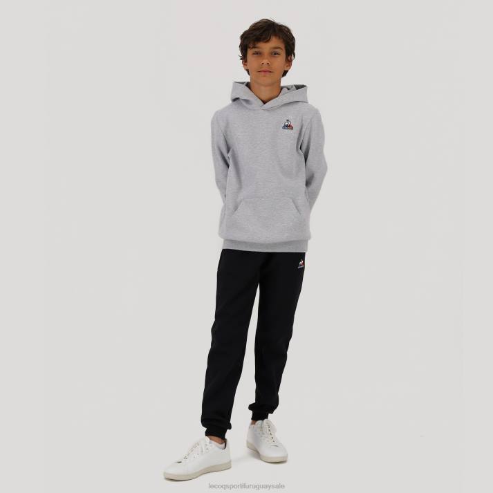 ropa XFVP669 niños Le Coq Sportif sudadera con capucha gris