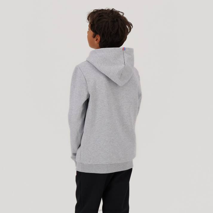 ropa XFVP669 niños Le Coq Sportif sudadera con capucha gris